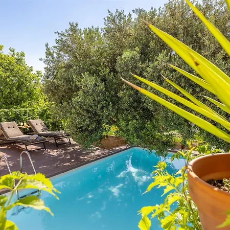 Dvor Pitve Villa Jelsa (Hvar)