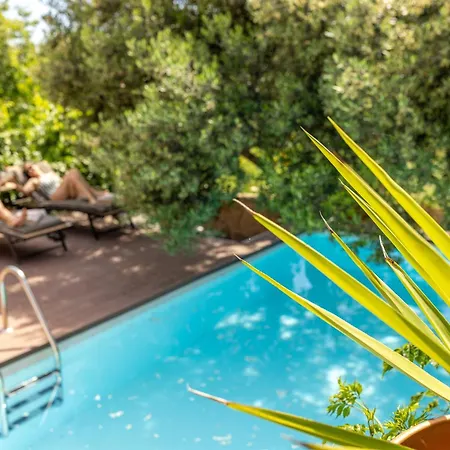 Dvor Pitve Villa Jelsa (Hvar)