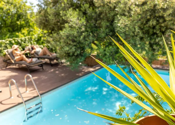 Dvor Pitve Willa Jelsa (Hvar)