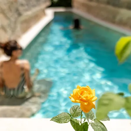 Dvor Pitve * Jelsa (Hvar)